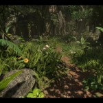 foliagedemoshot_01-w800
