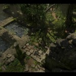 foliagedemoshot_02-w800