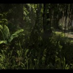 foliagedemoshot_03-w800