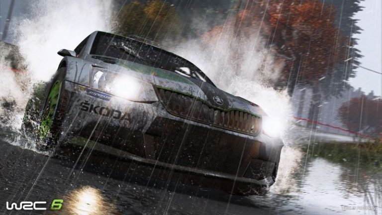 WRC-6_06-768x432.jpg