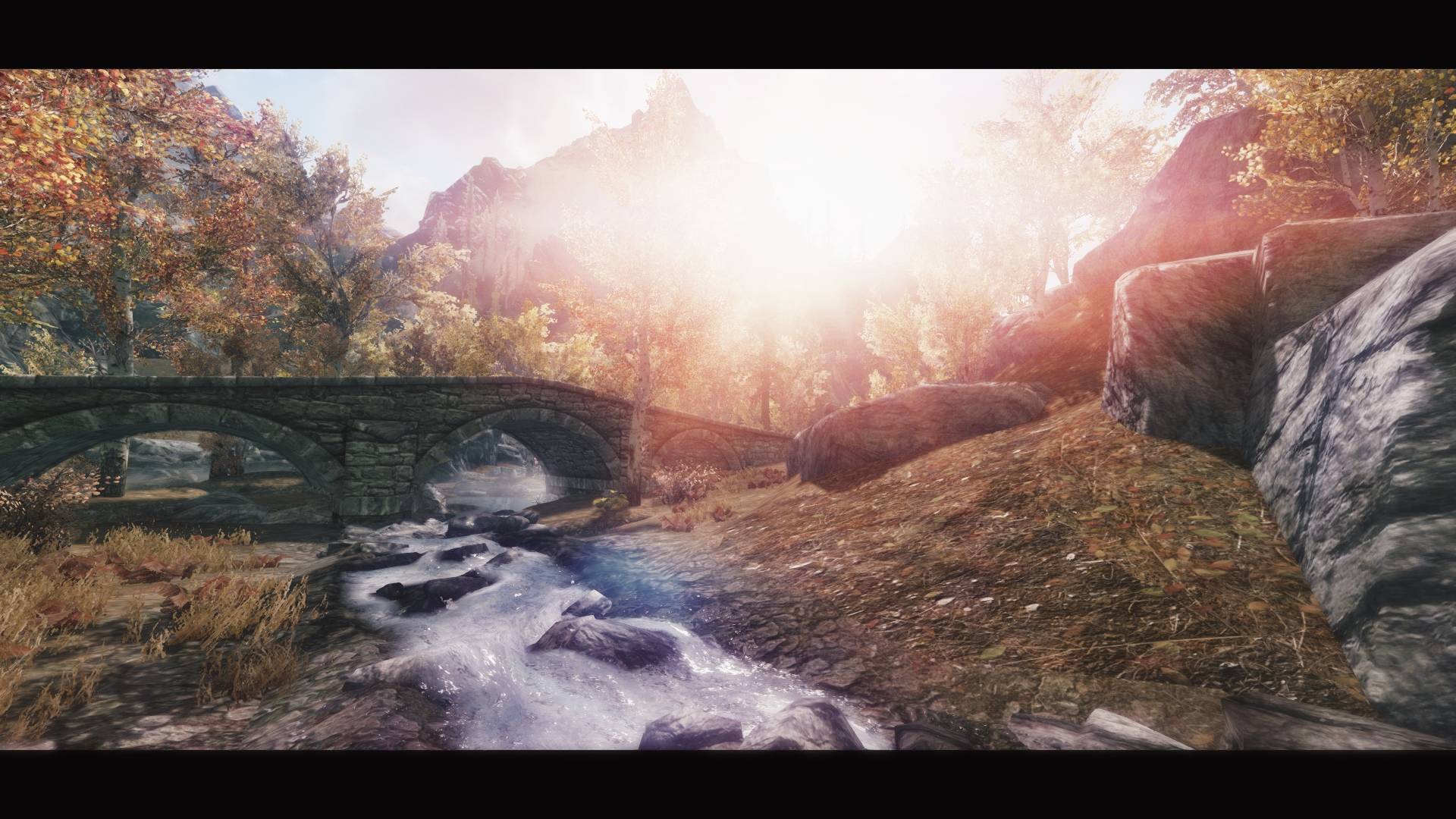 skyrim graphic mods for very low end pc