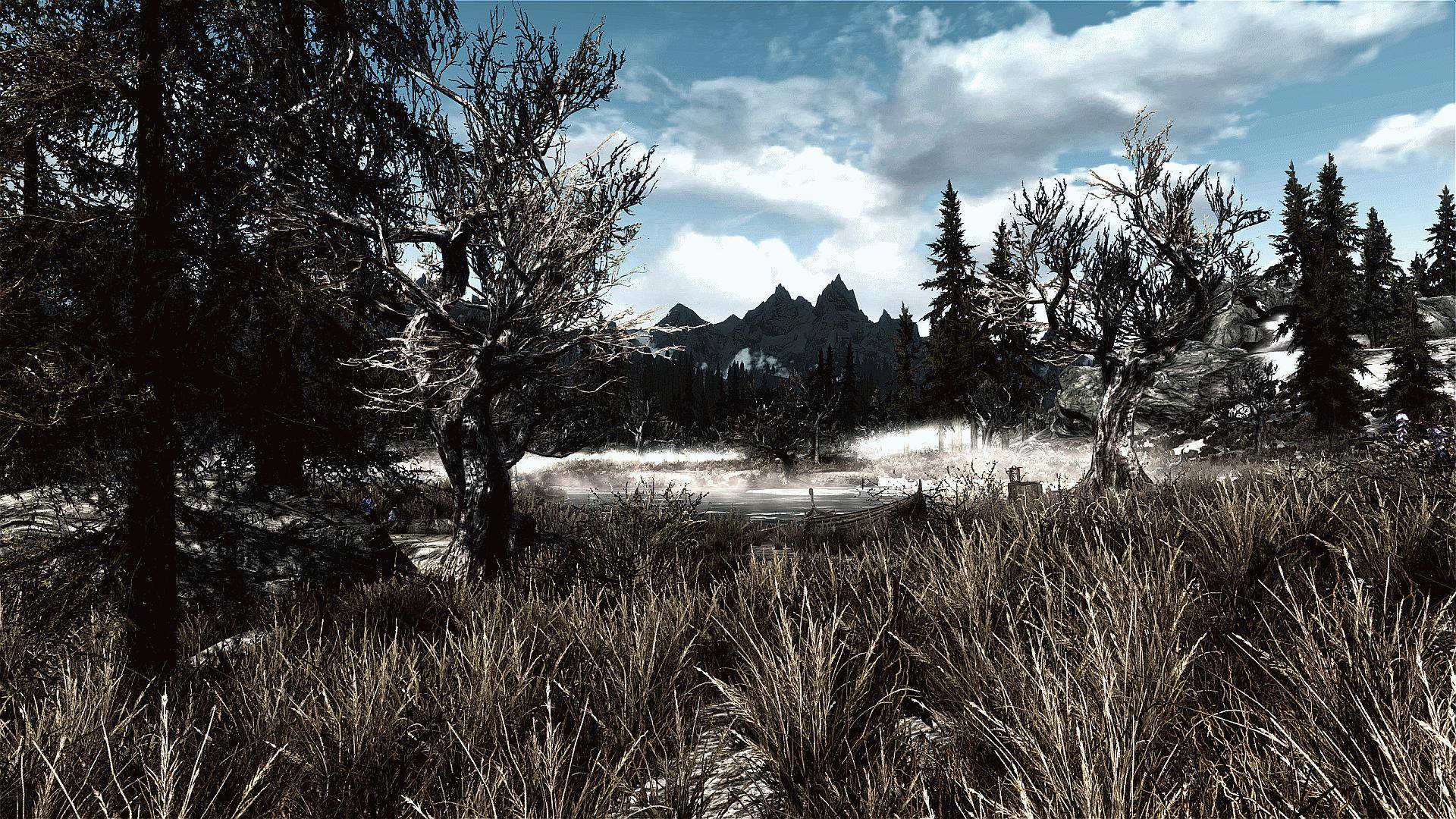 Мод на красивую графику. Skyrim Skylife ENB. Скайрим фильтры FXAA. Skyrim HDR. Skyrim ENB зернистость.