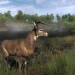 theHunter gets new expansion