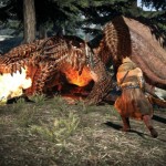Dragon’s Dogma: Some flame-grilled screens