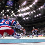 NHL 13: Goalie screens