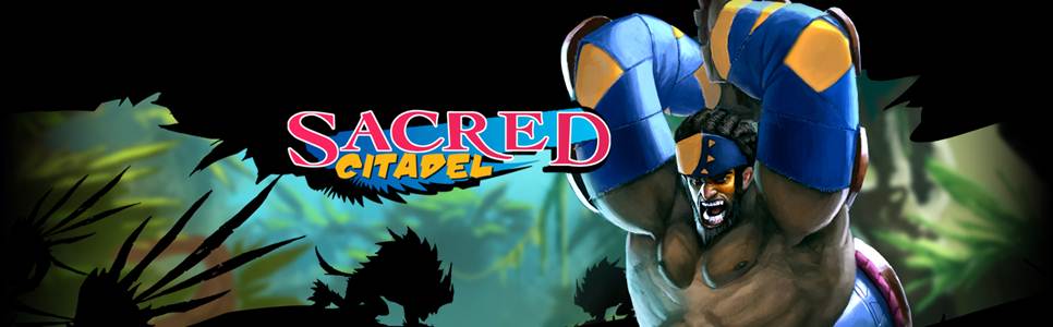 Sacred Citadel Review