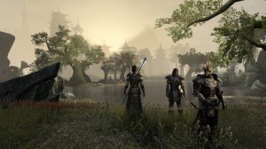 The Elder Scrolls Online PVP Detailed