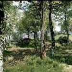 SpeedTree Interview: Cloud Computing, Next Gen Consoles, Realistic Foliage and More