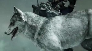 Call of Duty: Ghosts Wolf DLC Now Available, New Trailer Revealed