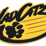 Mad Catz Coming to India Via Origin Games