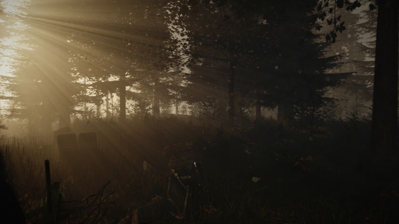 Open-World Survival Game 'The Forest' To Be Released On PS4 In 2018