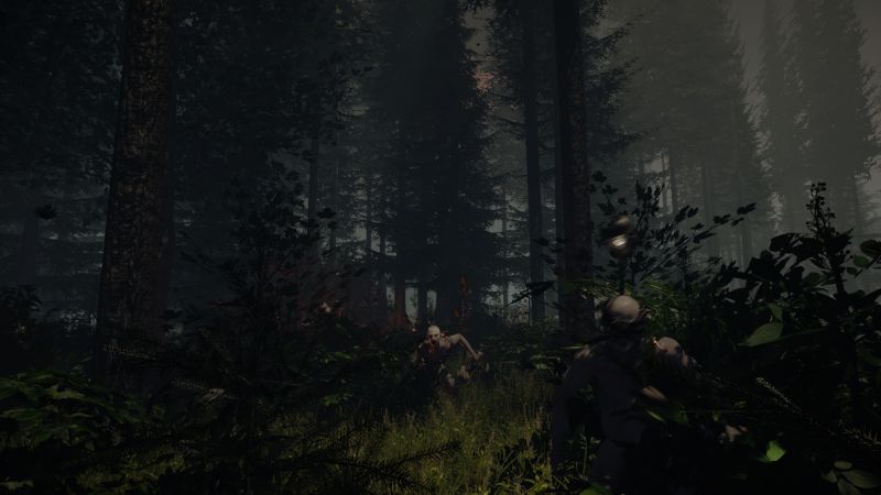 The Forest New Screenshots Arrive, Alpha Release Creeps on to Steam