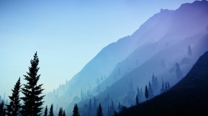 Grand Theft Auto 5 PS4/Xbox One Update Adds Realistic Tree Movement With Wind