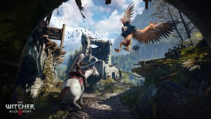 witcher 3 60fps switch