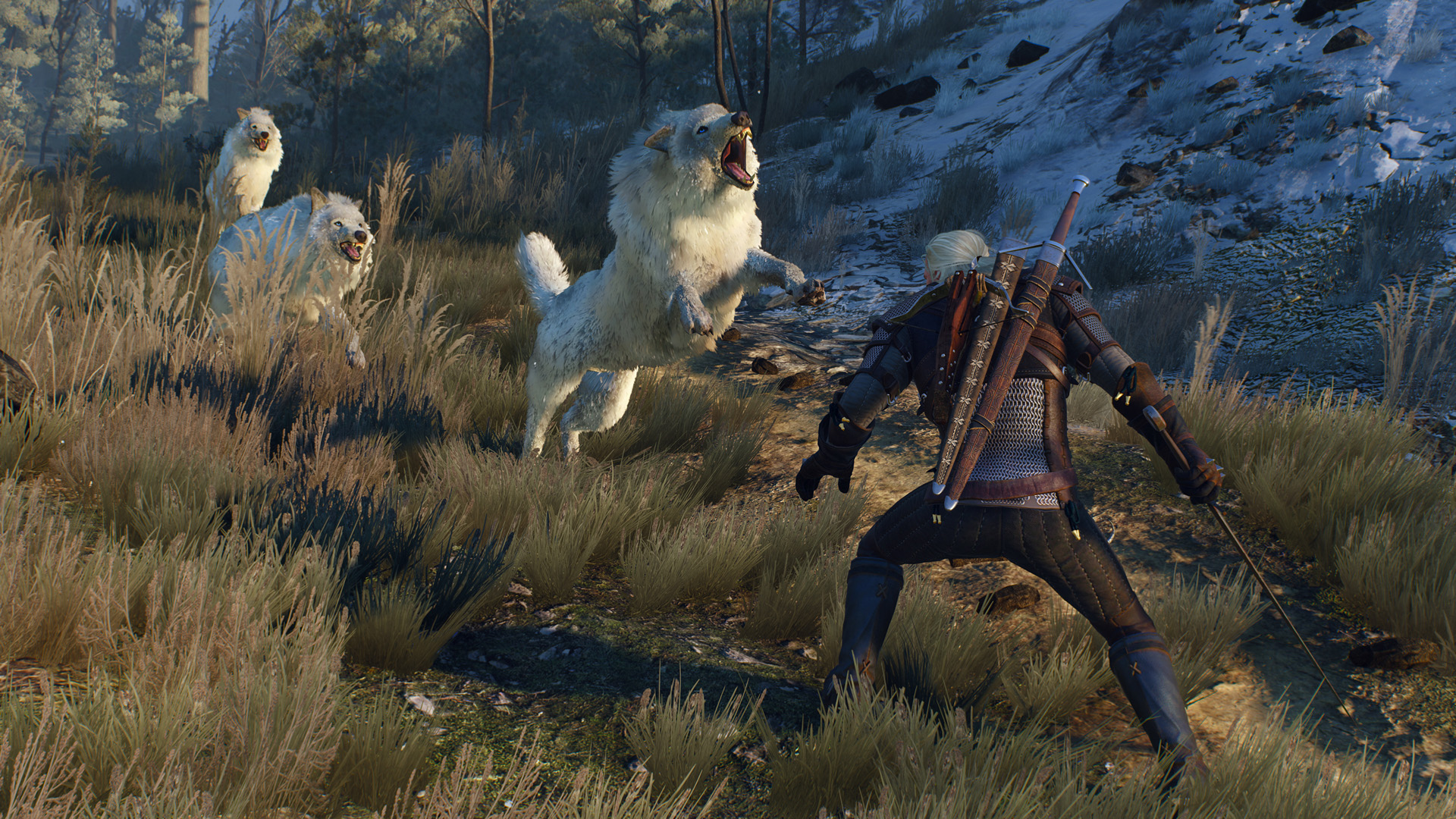 The Witcher 3: Wild Hunt Up For Preloading on Xbox One « GamingBolt.com ...