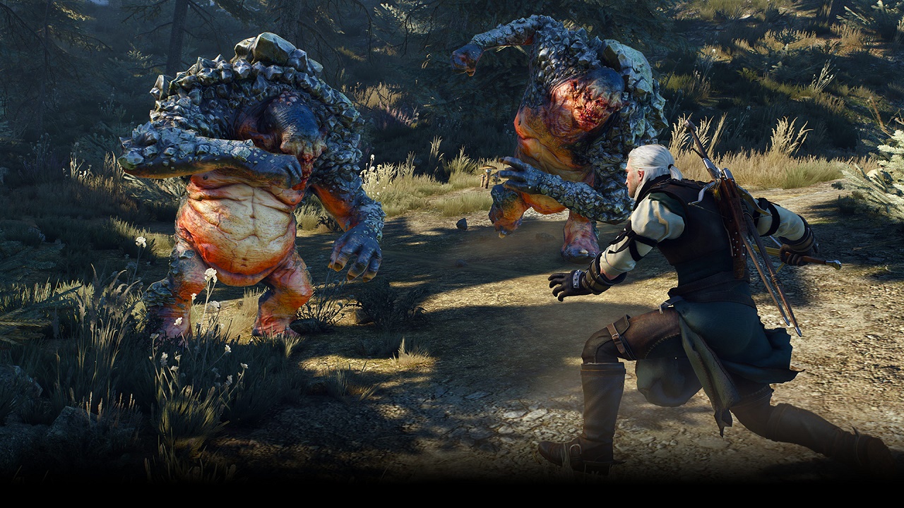 passager bureau Atomisk The Witcher 3 On PS4 Looks Great, Footage Coming Next Week, New Gameplay  Details