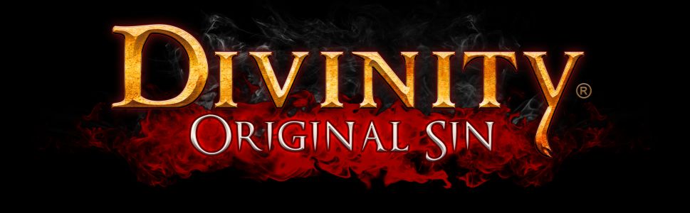 Divinity Original Sin Enhanced Edition Interview: Improving Excellence
