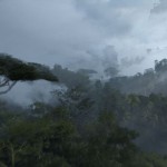 Power of Cloud Can Enable Computationally Intensive Features Like Tree Destruction & Physics Effects