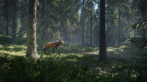 The Hunter: Call of the Wild Review – Patience Is A Virtue