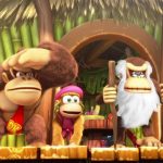 Donkey Kong Country: Tropical Freeze Switch Review – Funky Country