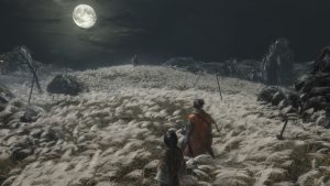 Sekiro: Shadows Die Twice Benefiting From Activision Support