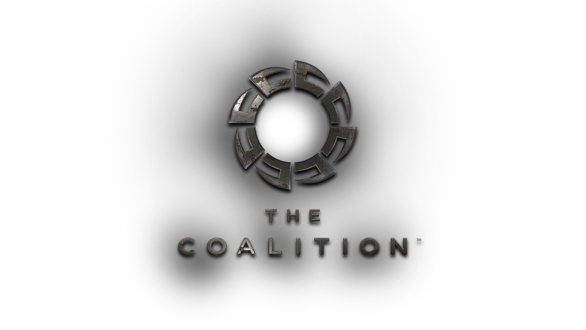 the coalition