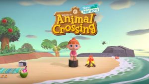 Animal Crossing: New Horizons Customization Options Won’t Be Locked Behind Gender