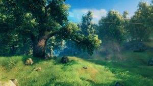 Valheim Patch Introduces New Terrain Modification System