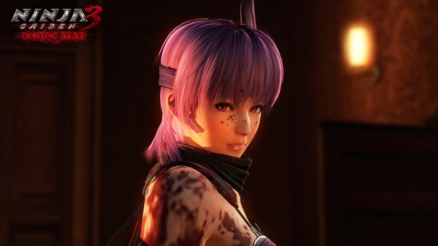 ninja gaiden 3 ayane mission