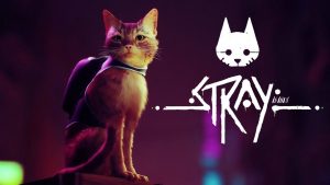 Stray – 12 Things You Need to Know