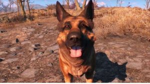Xbox and Bethesda Pledge Charity In Honor of Deceased Fallout Dogmeat Model
