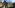 Sniper Elite 5 Trailer Details Stealth, Takedowns, Traversal Mechanics, and Non-Lethal Combat
