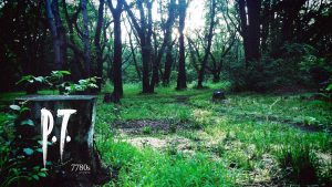 10 Years Later, P.T. Remains the Ultimate Benchmark for Horror Games