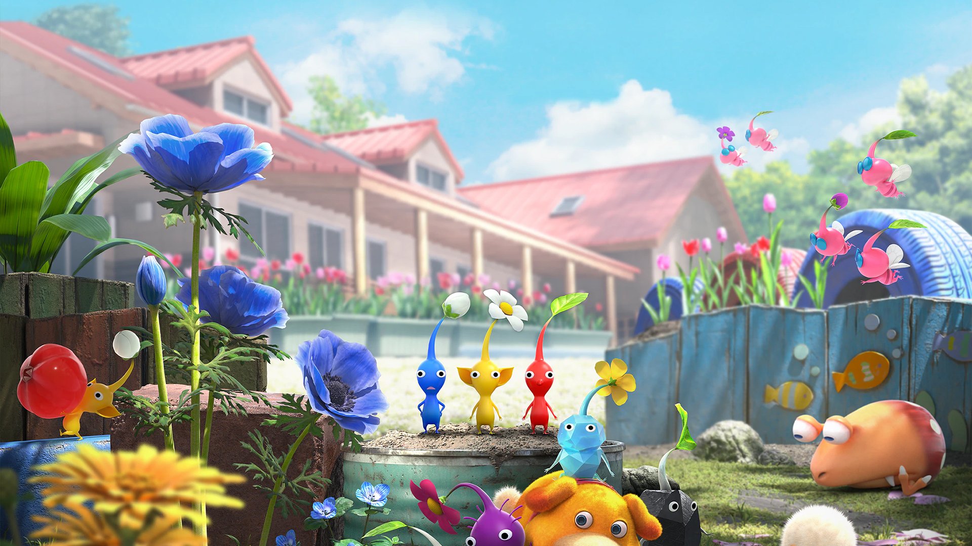 More Outlined and 4 Mechanics, Video Types, Pikmin Pikmin in New