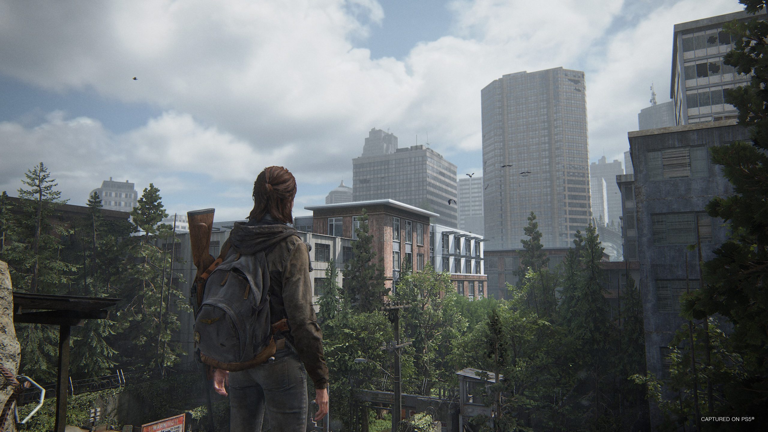The Last of Us Part II players on PS4 - Naughty Dog, LLC