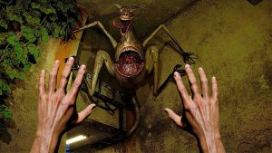 What the Hell is Zoochosis?