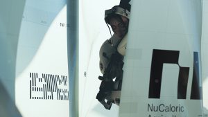 Marathon’s Stolen Art Asset Controversy Has Been “Resolved to My Satisfaction,” Says Artist