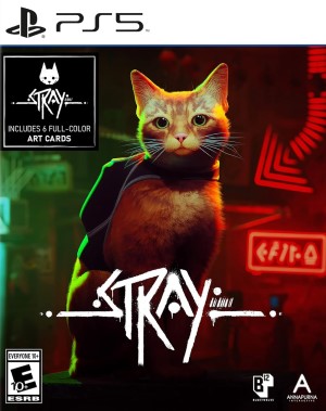 Stray Box Art