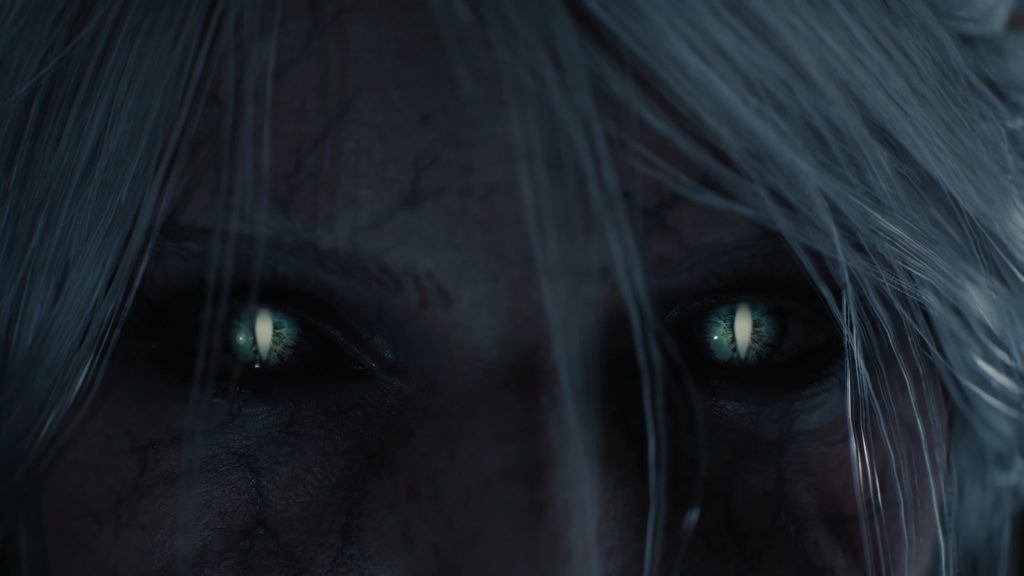 the witcher 4