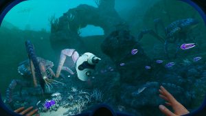Subnautica Developer Seemingly Has a Secret, Unannounced Game Codenamed Project Labrador