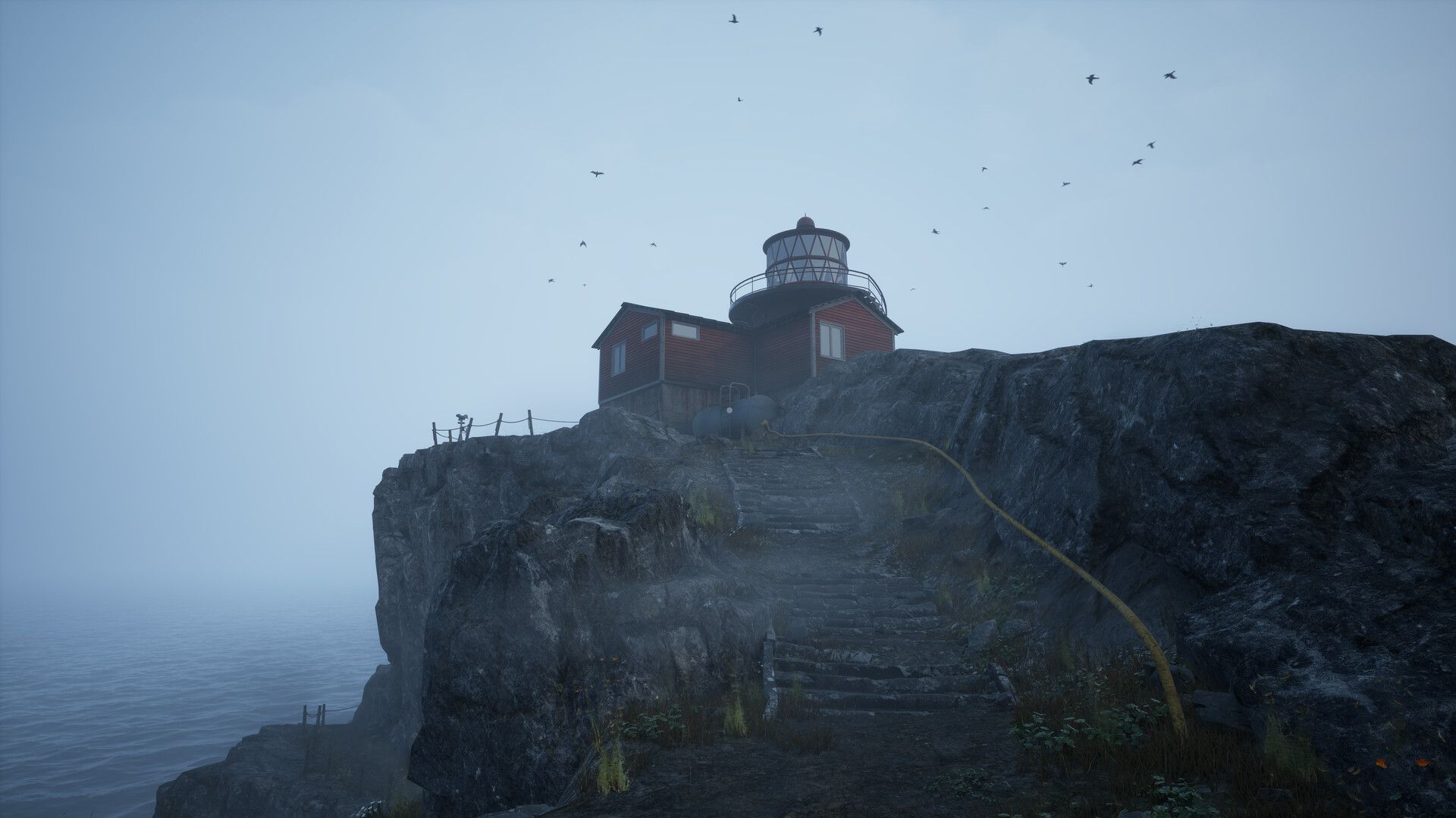will follow the light 2
