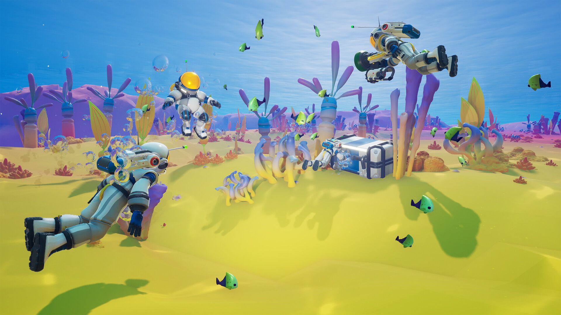 starseeker 2