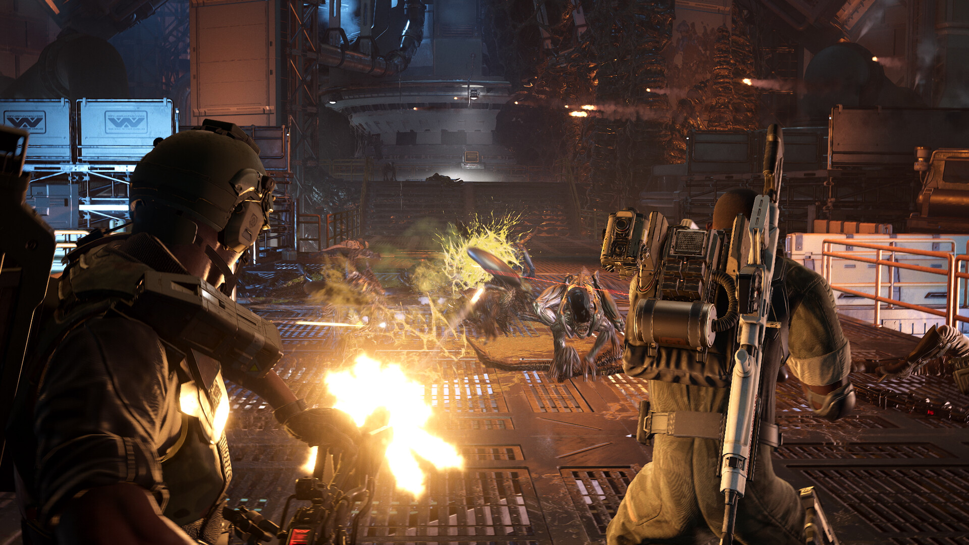 Aliens Fireteam Elite 2_02