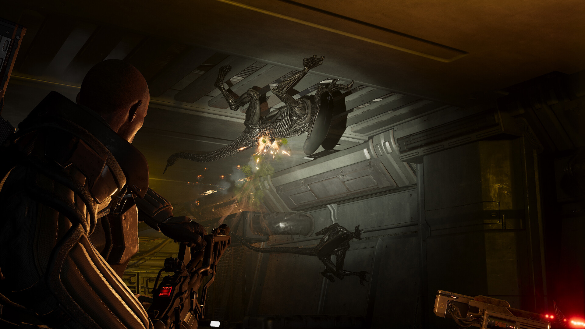 Aliens Fireteam Elite 2_04