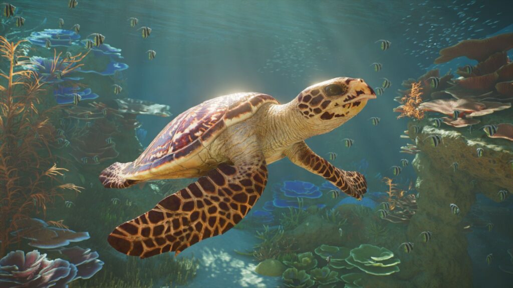 planet zoo 2 aquatic