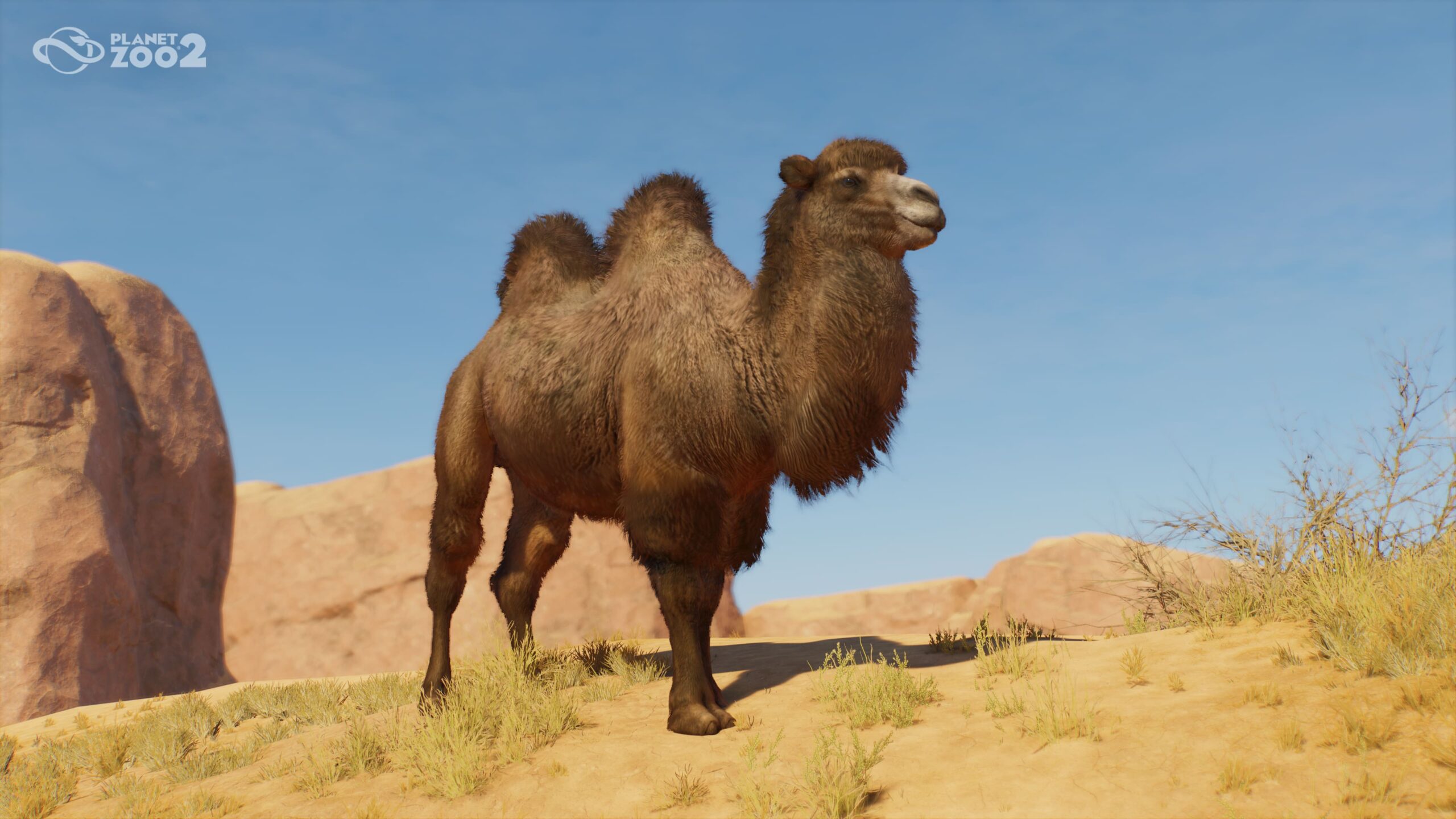 Planet Zoo 2