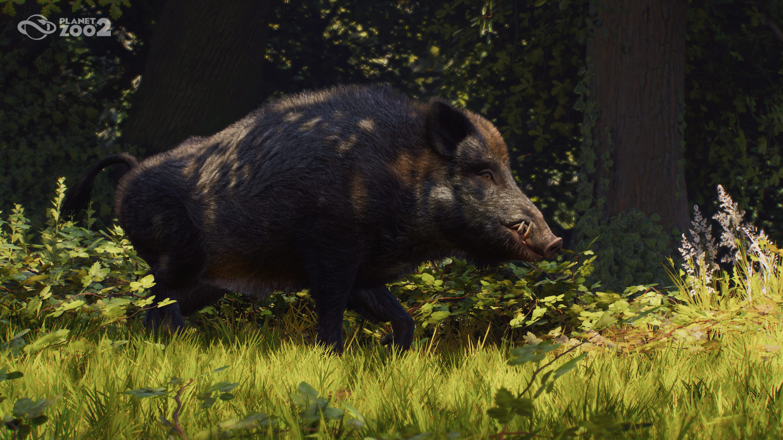 Planet Zoo 2