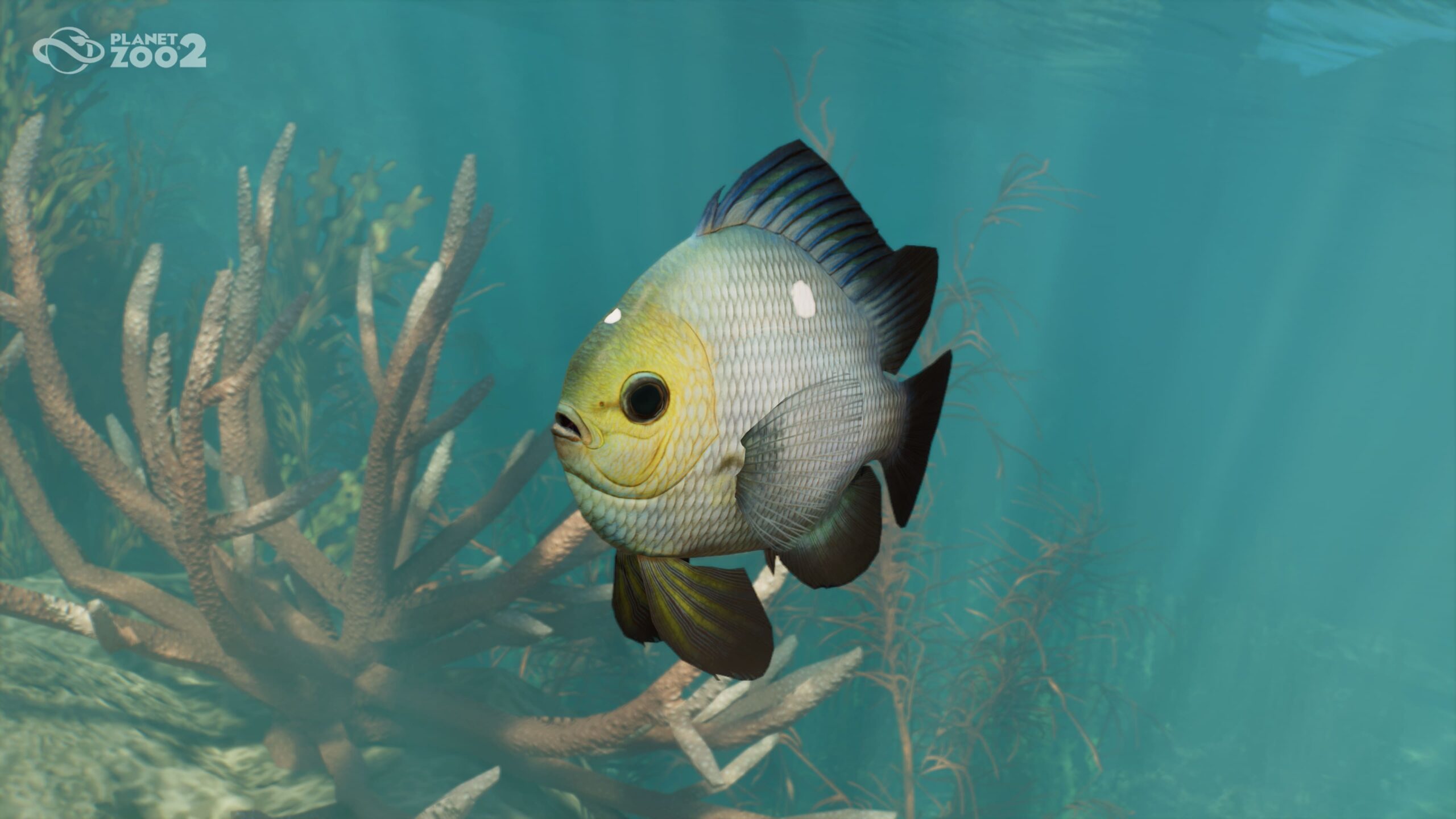 Planet Zoo 2