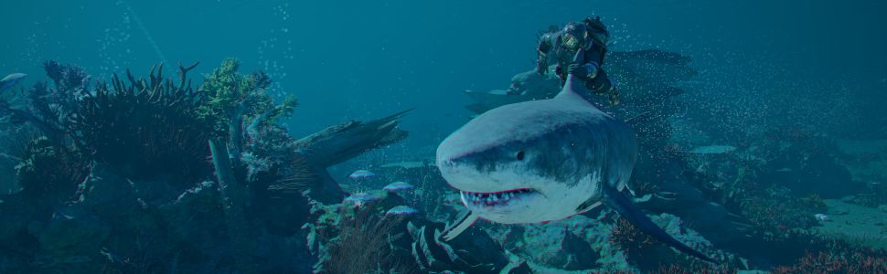 Crimson Desert: Charting the Unknown – 15 Things You Should Know Before Jumping In