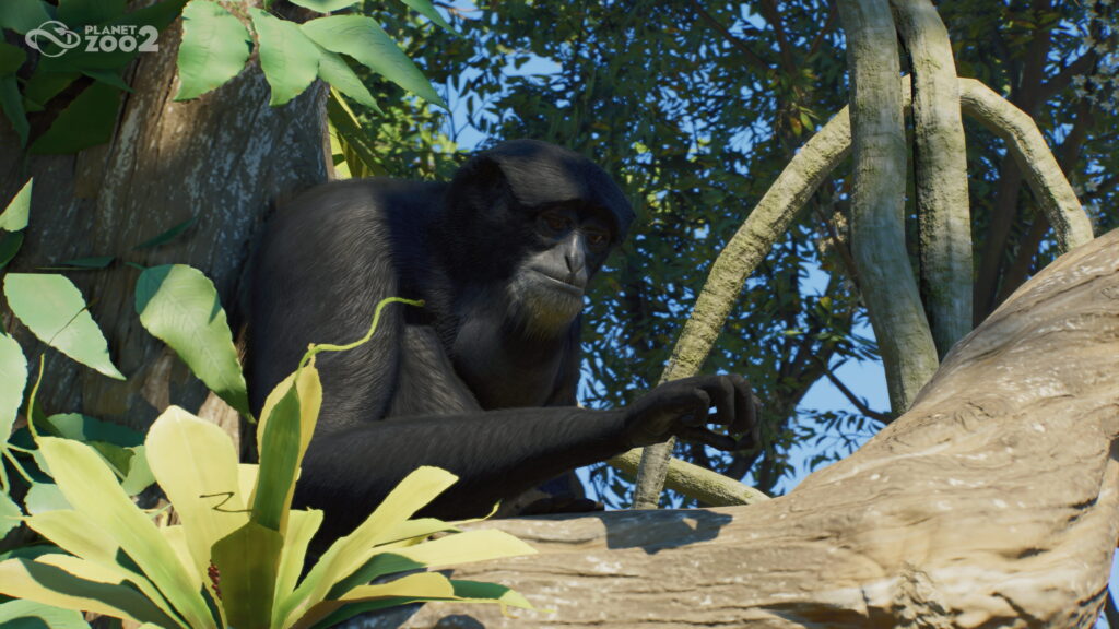Planet Zoo 2
